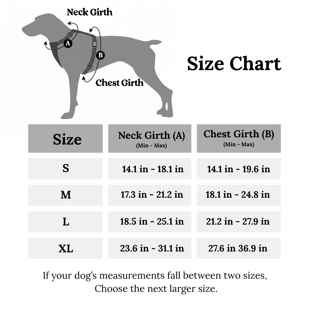 Multi Functional Nylon Reflective Pet Harness