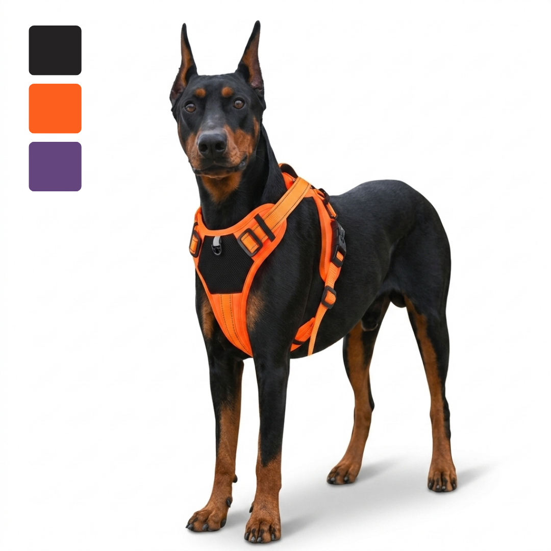 Multi Functional Nylon Reflective Pet Harness