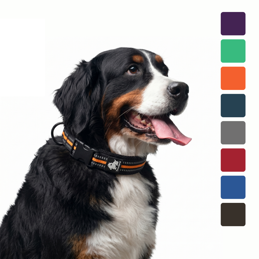 Truelove Reflective Mesh Padded Pet Dog Collar