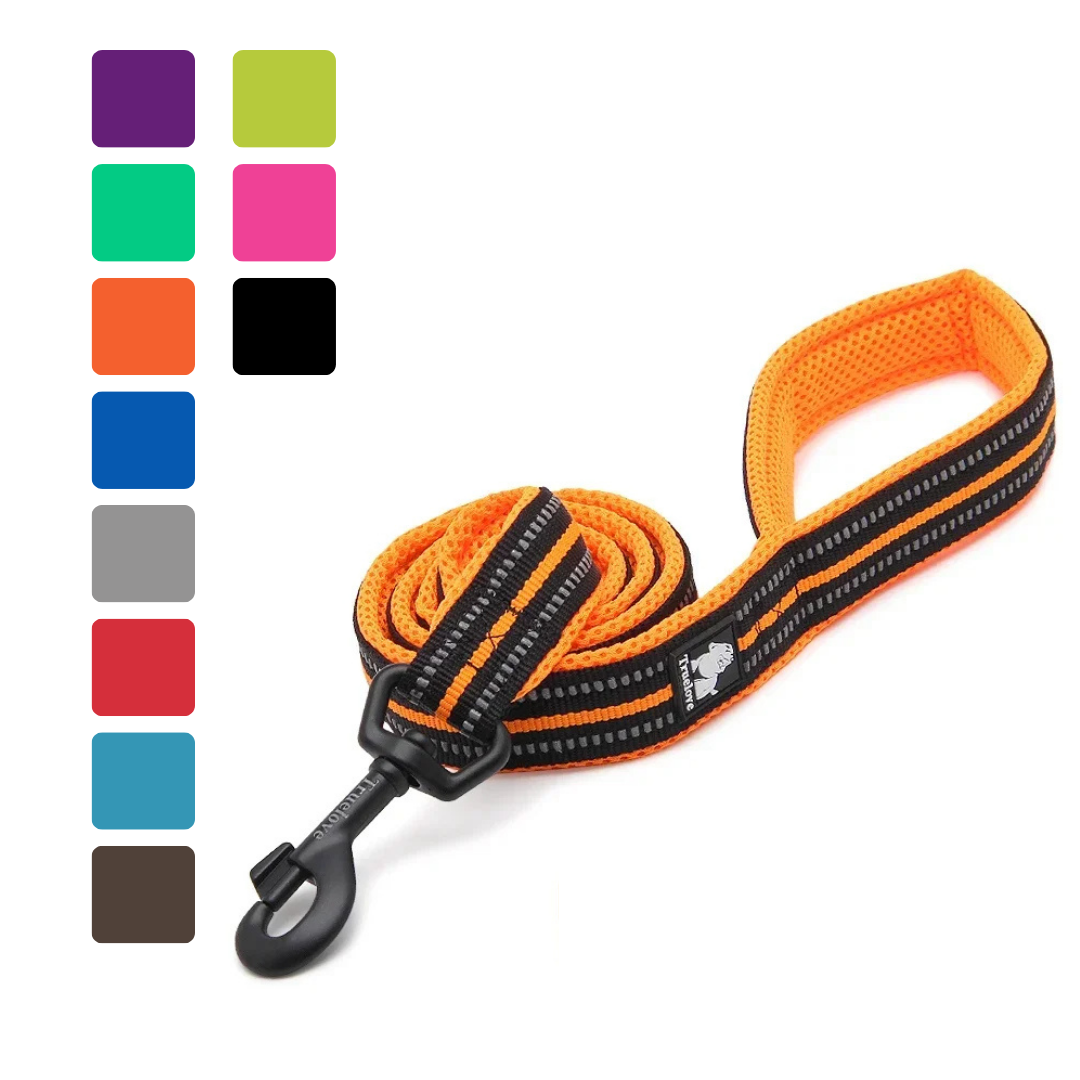 Premium Reflective Pet Training Leash