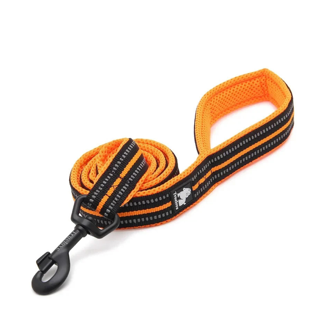 Premium Reflective Pet Training Leash