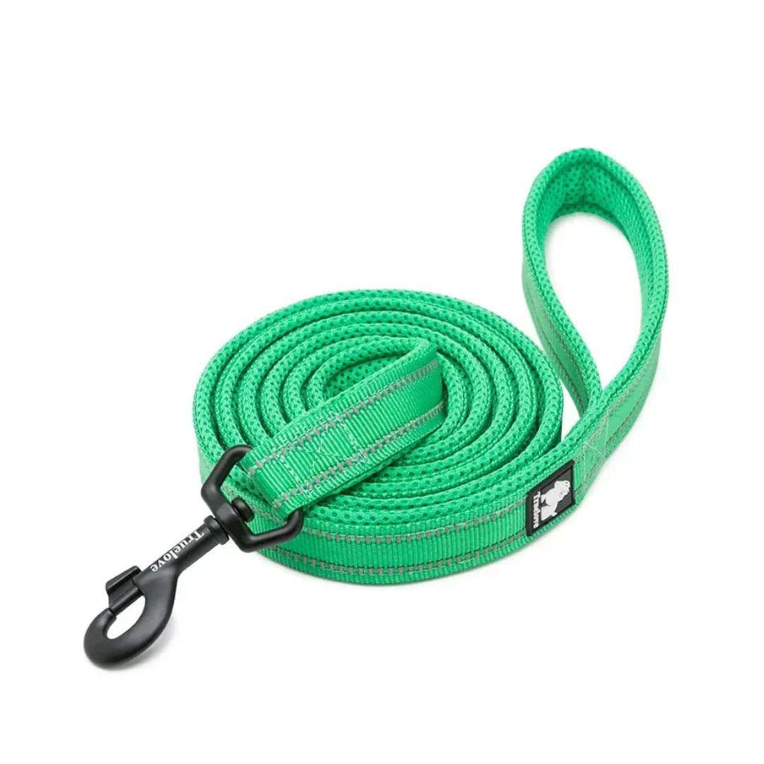 Premium Reflective Pet Training Leash