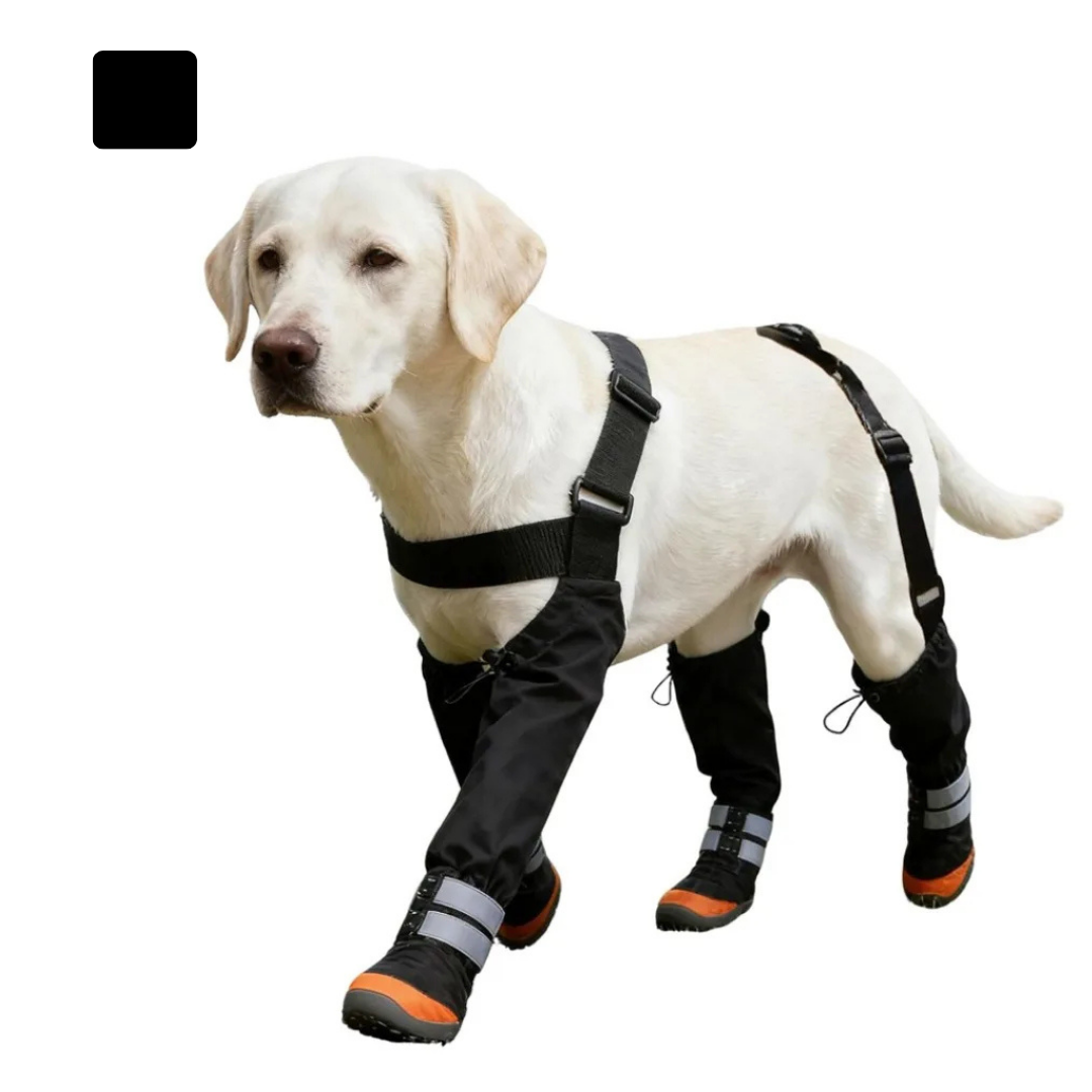 Non-Slip Dog Suspender Boots