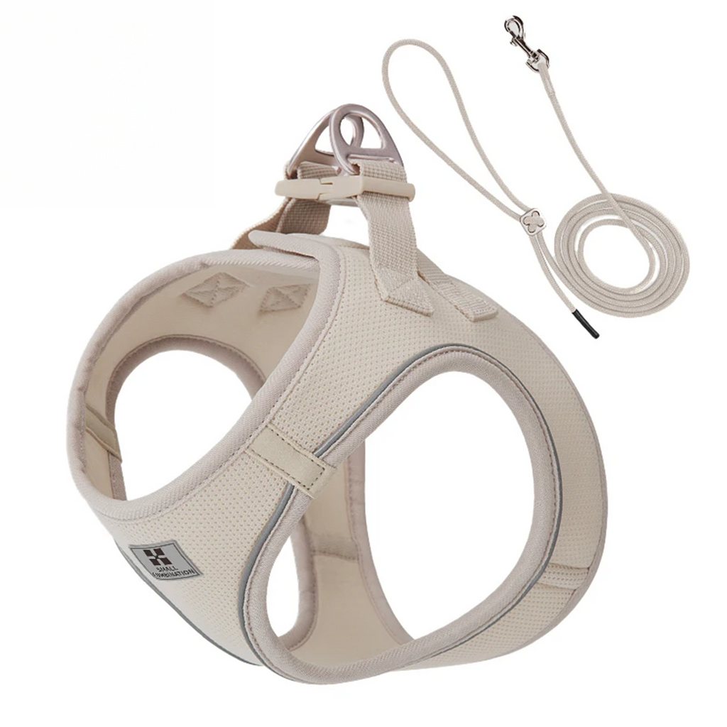 Dog Harness Leash Set for Small & Medium Dog