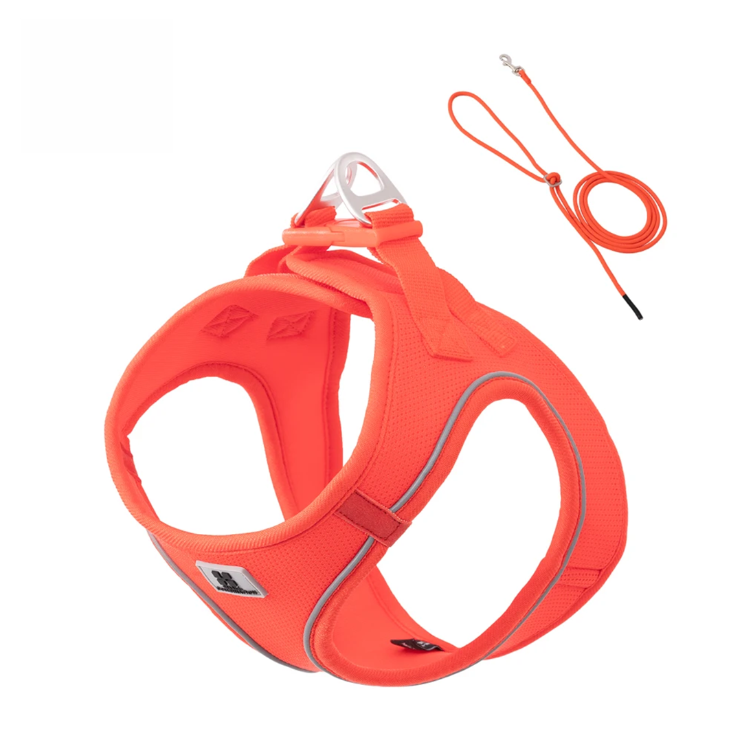 Dog Harness Leash Set for Small & Medium Dog