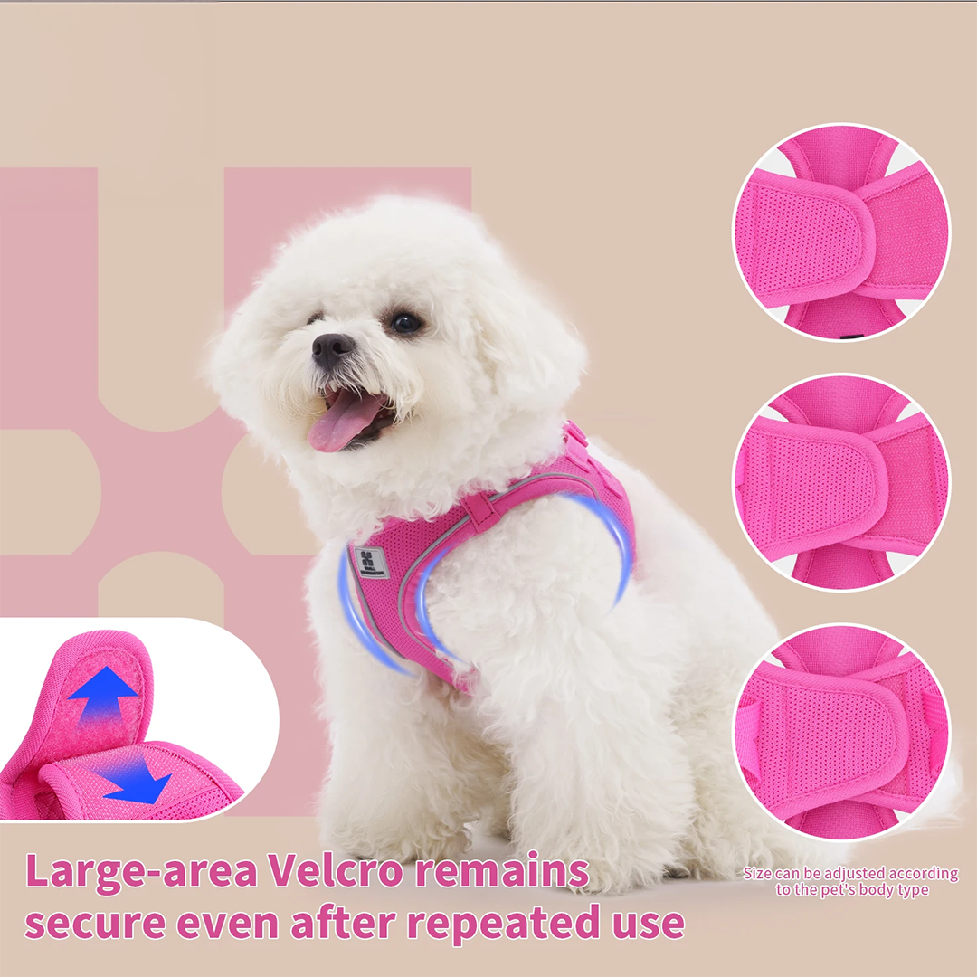 Dog Harness Leash Set for Small & Medium Dog