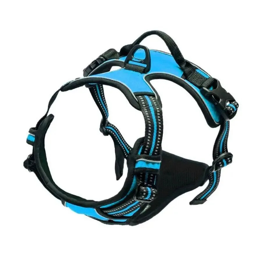 Premium Leather Dog Harness, Collar & Leash Set