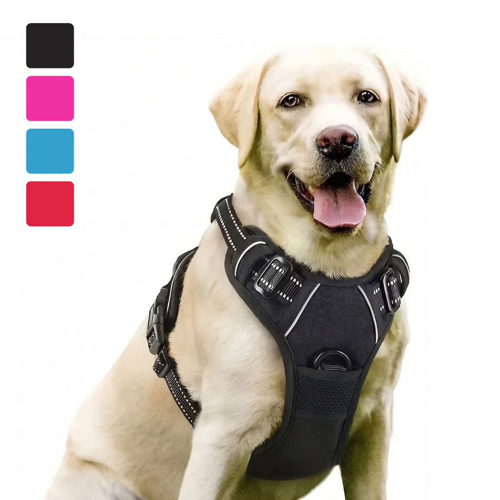 Premium Leather Dog Harness, Collar & Leash Set