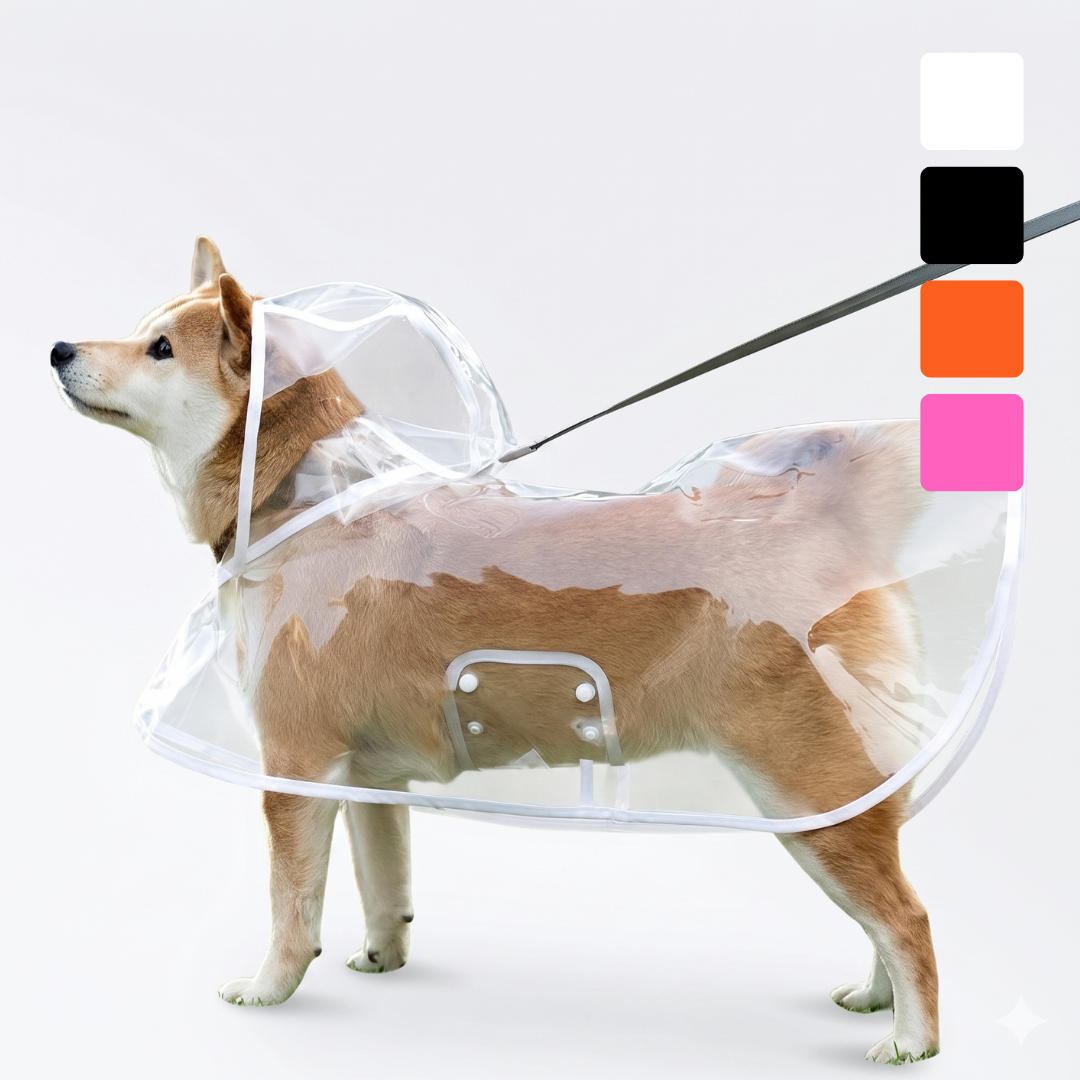 Transparent Dog Raincoat - Waterproof and Windproof