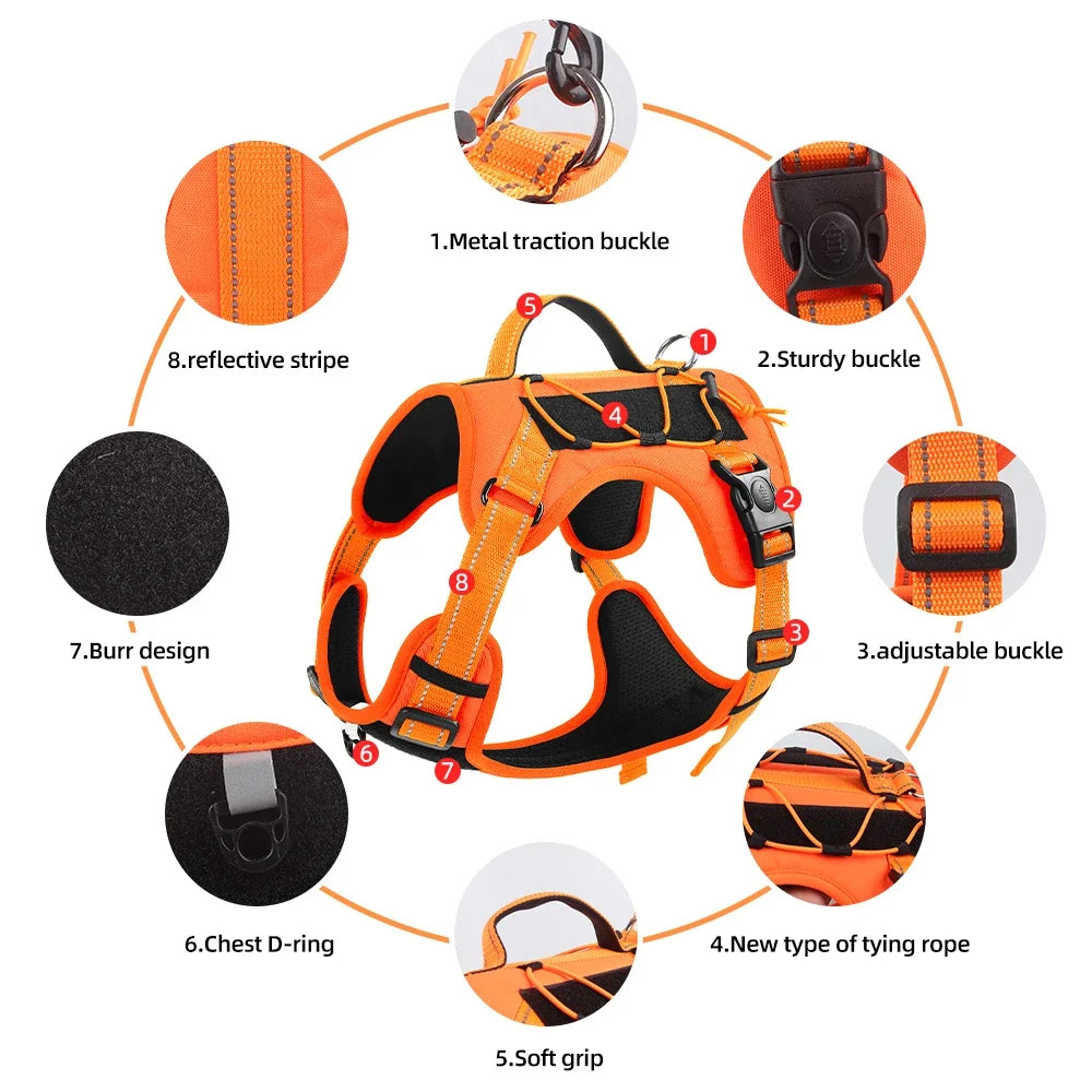 Orange dog harness with labeled features 