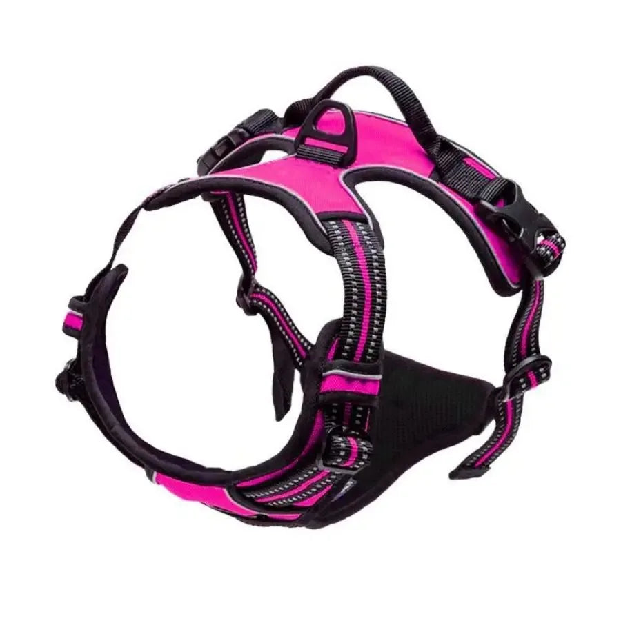 Premium Leather Dog Harness, Collar & Leash Set