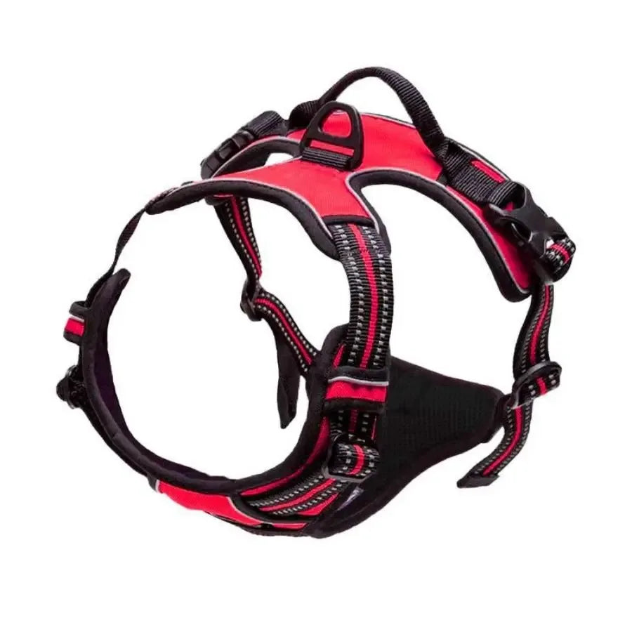 Premium Leather Dog Harness, Collar & Leash Set