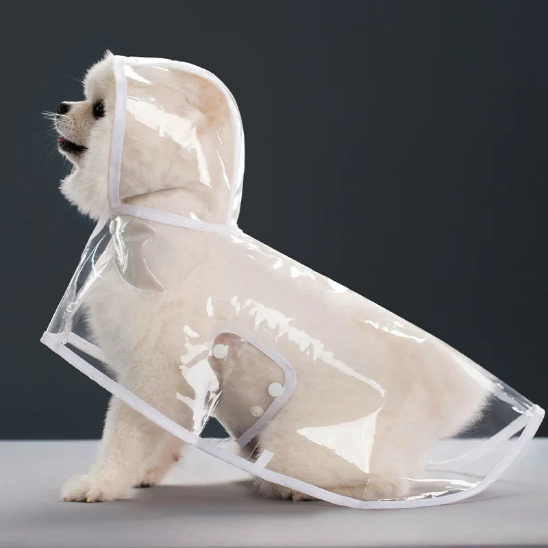 Transparent Dog Raincoat - Waterproof and Windproof