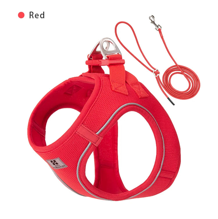 Dog Harness Leash Set for Small & Medium Dog