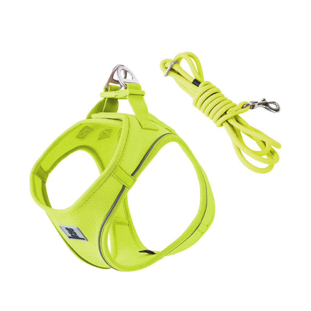 Dog Harness Leash Set for Small & Medium Dog
