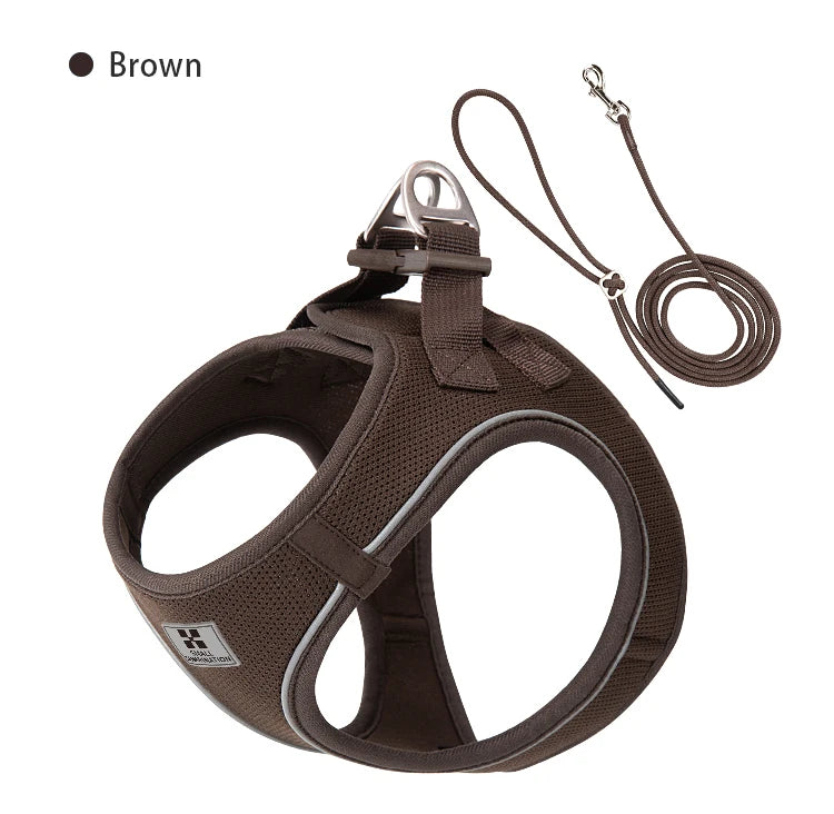 Dog Harness Leash Set for Small & Medium Dog