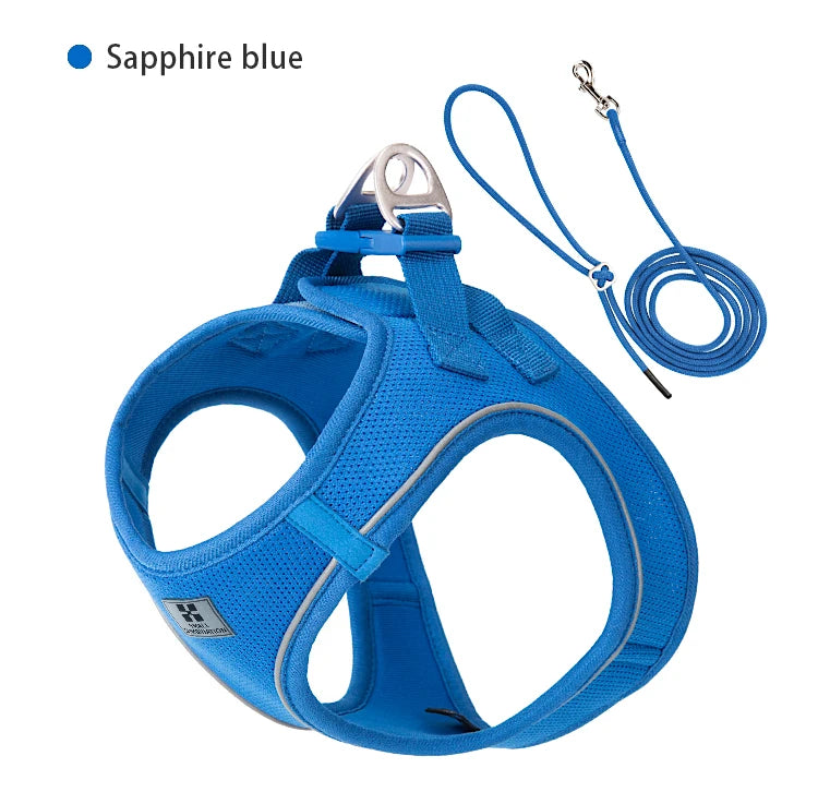 Dog Harness Leash Set for Small & Medium Dog