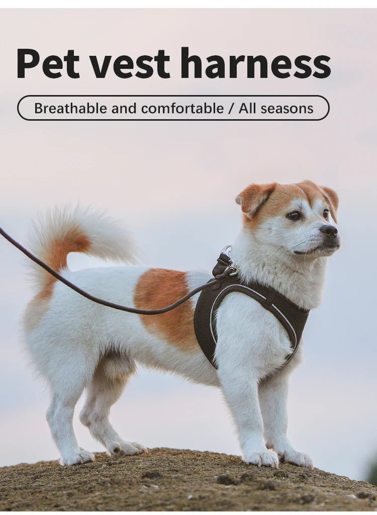 Dog Harness Leash Set for Small & Medium Dog