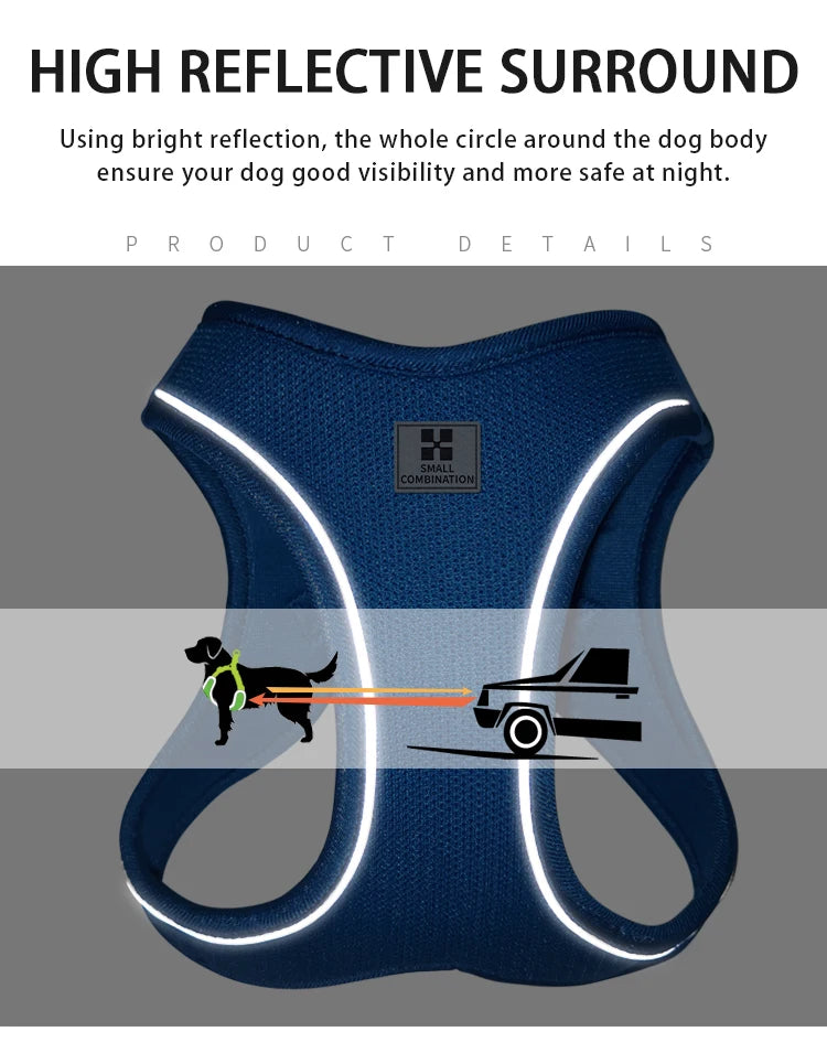 Dog Harness Leash Set for Small & Medium Dog
