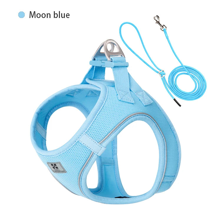 Dog Harness Leash Set for Small & Medium Dog