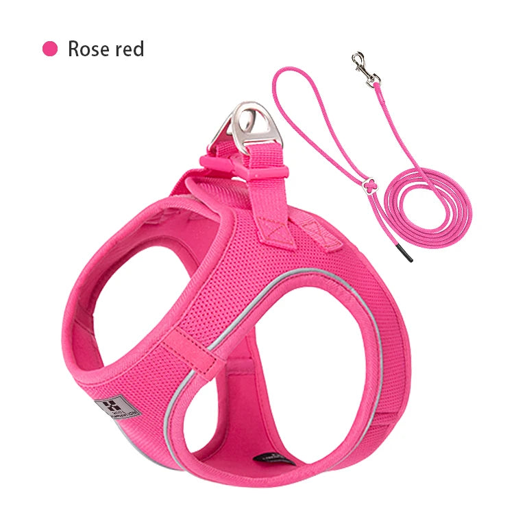 Dog Harness Leash Set for Small & Medium Dog