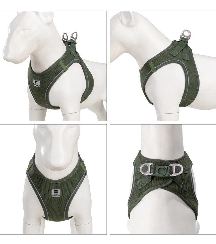 Dog Harness Leash Set for Small & Medium Dog