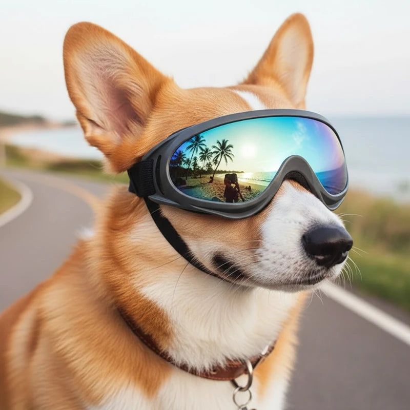Pet Dog Goggles UV Sunglasses Windproof Snowproof Eye Protection Glasses