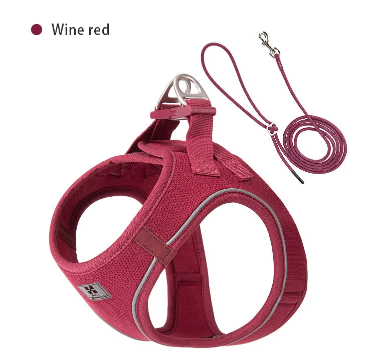 Dog Harness Leash Set for Small & Medium Dog