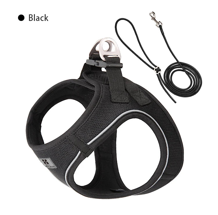 Dog Harness Leash Set for Small & Medium Dog
