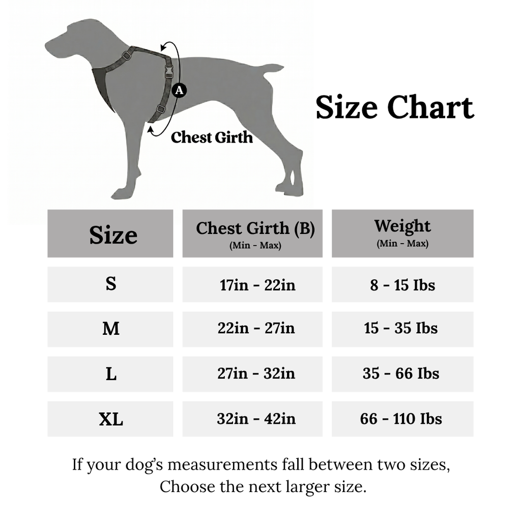 Premium Leather Dog Harness, Collar & Leash Set