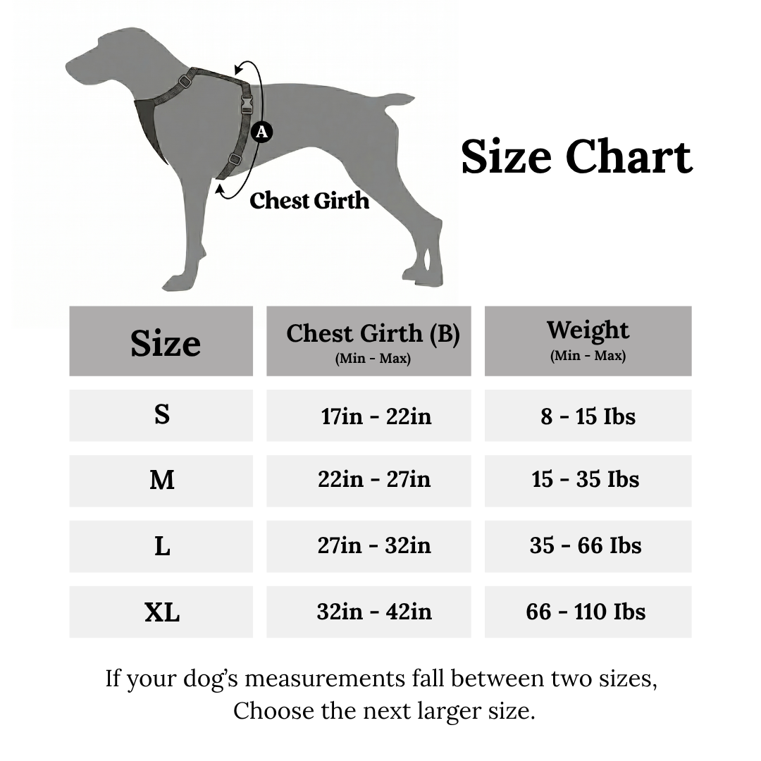 Premium Leather Dog Harness, Collar & Leash Set