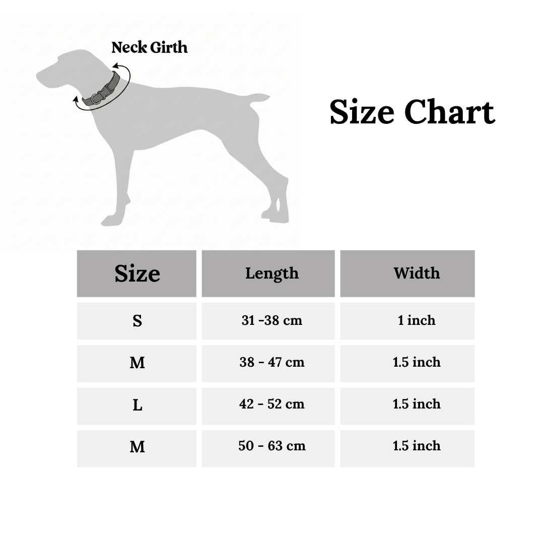 AirTag Tactical Dog Collar, with AirTag Holder