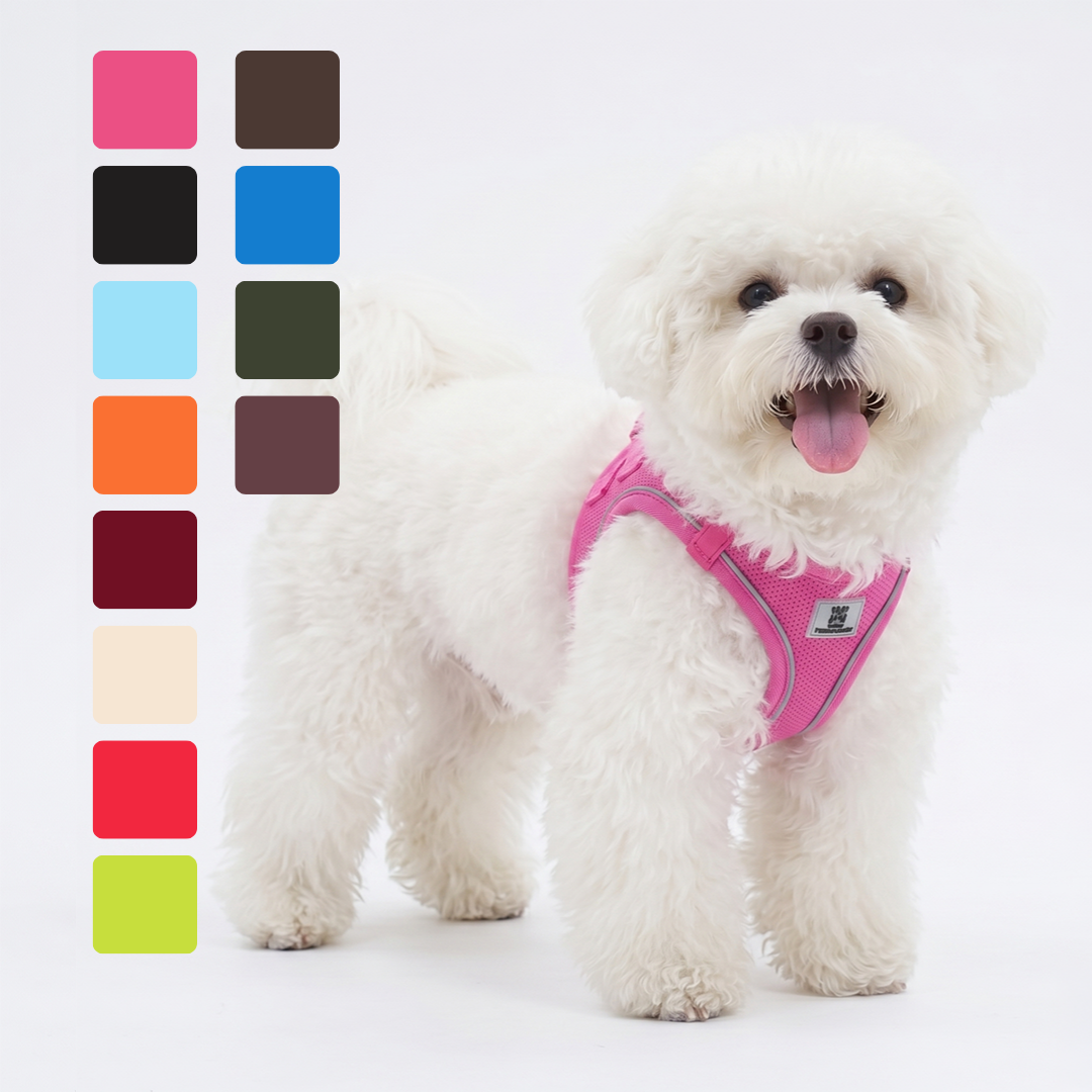 Dog Harness Leash Set for Small & Medium Dog