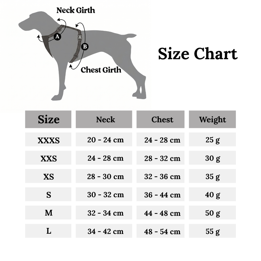 Dog Harness Leash Set for Small & Medium Dog